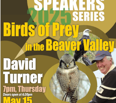 Speaker Series 2025 – David Turner